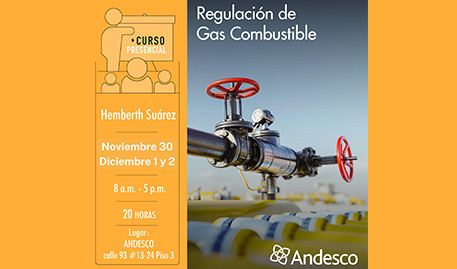 Regulación Gas